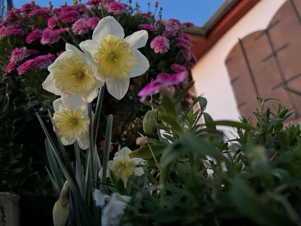 Casa Rural Vistablanca En Una Sola Planta Con Bonitas Vistas Y Piscina - Junto A La Capital Y La Alhambra Cenes De La Vega Esterno foto